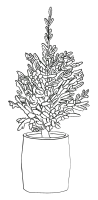 Christmas tree