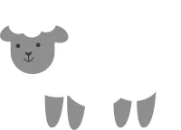 Cute Sheep Illustration