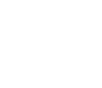 꽃