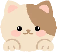 고양이