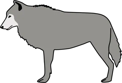 Animal