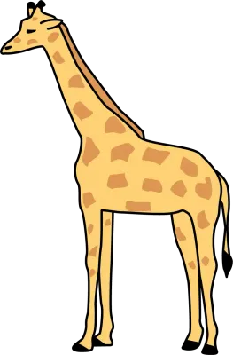Animal