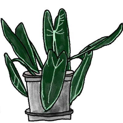 Plant pot 1