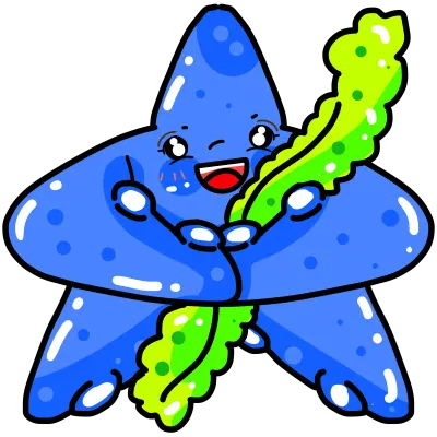 sea starfish 202407_11