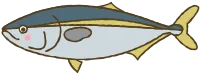 참치