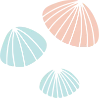 beautiful shell silhouette