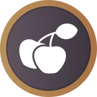 Cherries Icon