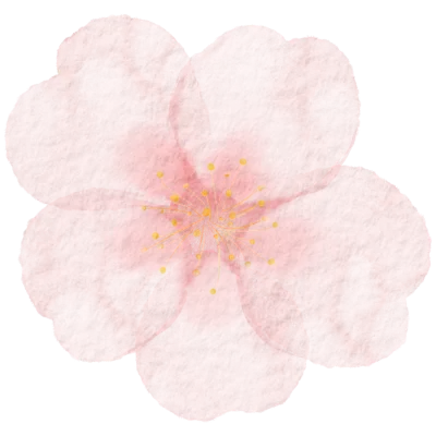 벚꽃 수채화