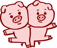 pig_023