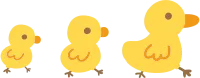 오리_병아리