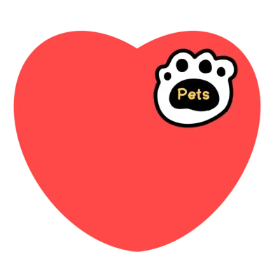 love pet