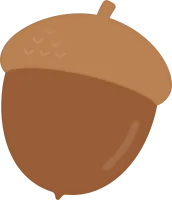 도토리