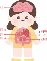 7일차-인체17