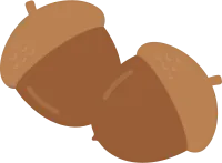 도토리