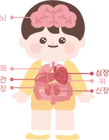 7일차-인체18