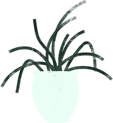 식물 화분
