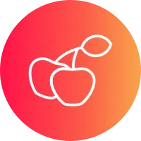 Cherries Icon