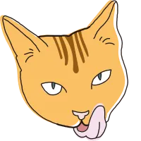 cat 고양이