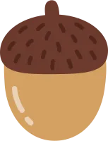 도토리