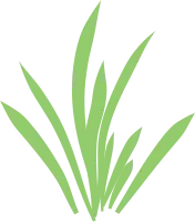 Simple grass cartoon style