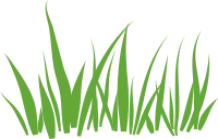 Simple grass cartoon style