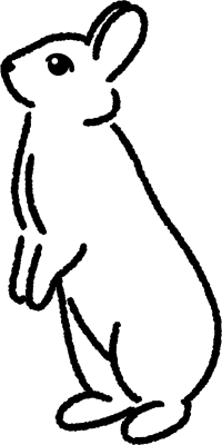 토끼