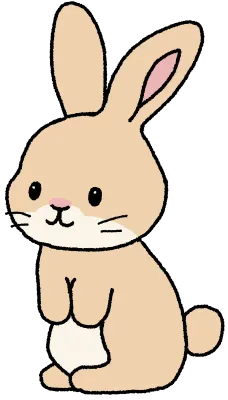 토끼