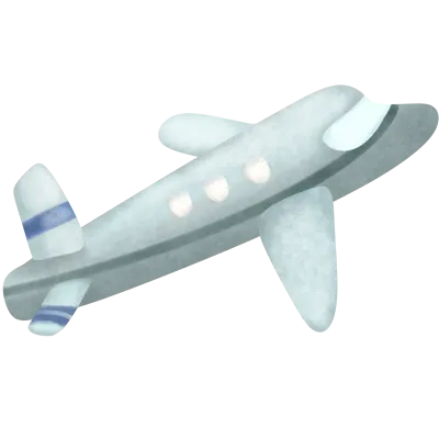 Air plane flies