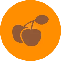 Cherries Icon