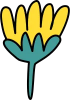 Sunflower doodle element