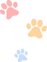 cat_a_05