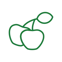 Cherries Icon