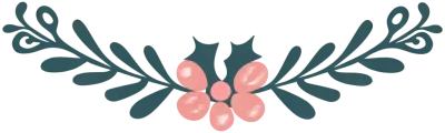 separator line