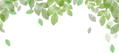 나뭇잎