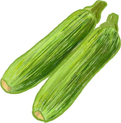 호박