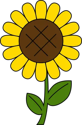 식물