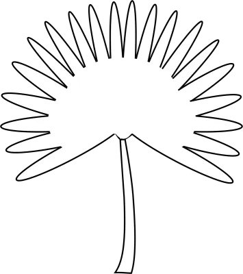 몬스테라 도안