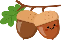 도토리
