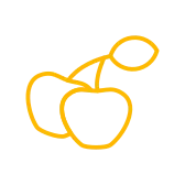 Cherries Icon