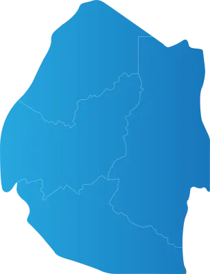 Eswatini district Country land Map