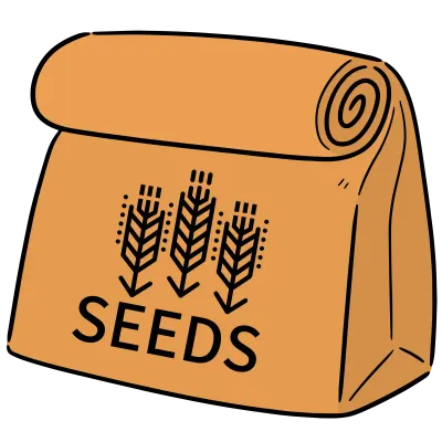 seed