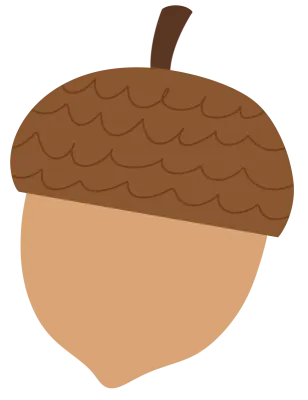 도토리 알