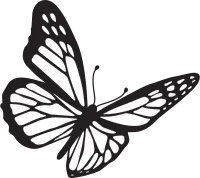 simple hand drawn black butterfly