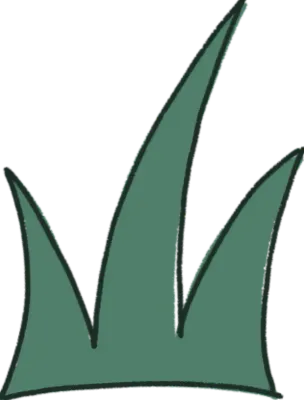 풀