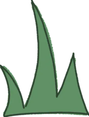 풀