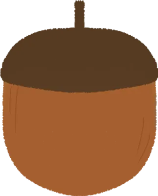 도토리