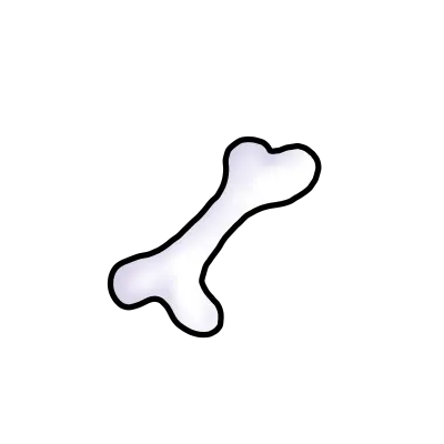 1 bone