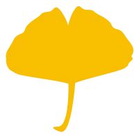 낙엽,은행,단풍,은행잎, 단풍잎