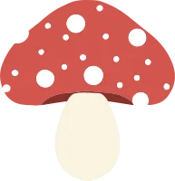 버섯