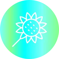 Sunflower Icon